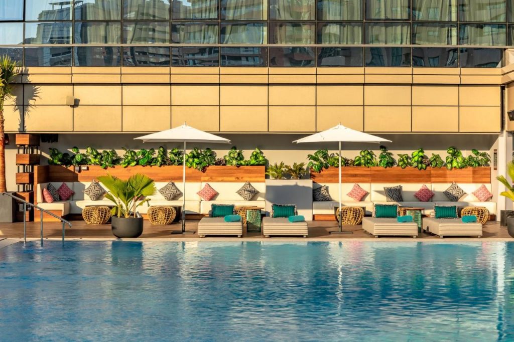 Haustierfreundliche Hotels in Dubai: Unsere Top-Empfehlungen für Sie und Ihren Vierbeiner - Image 30