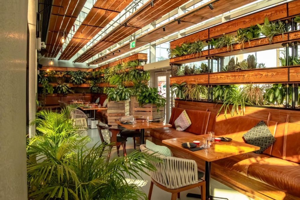 Haustierfreundliche Hotels in Dubai: Unsere Top-Empfehlungen für Sie und Ihren Vierbeiner - Image 32